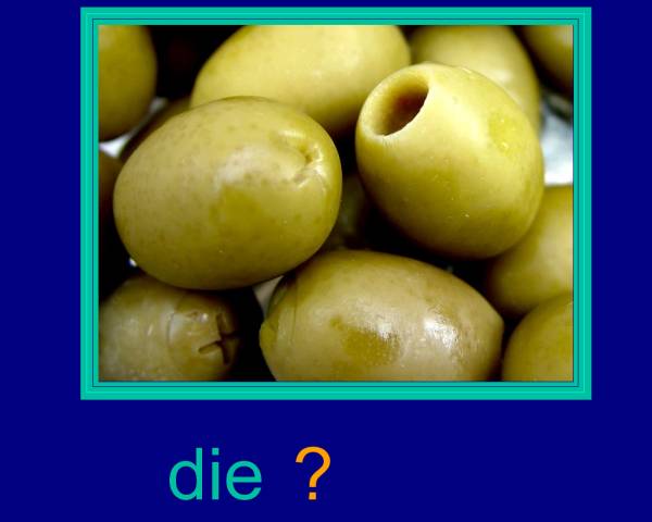 die Oliven